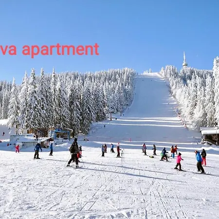 Appartement Viva 6 In Stenata Pamporovo