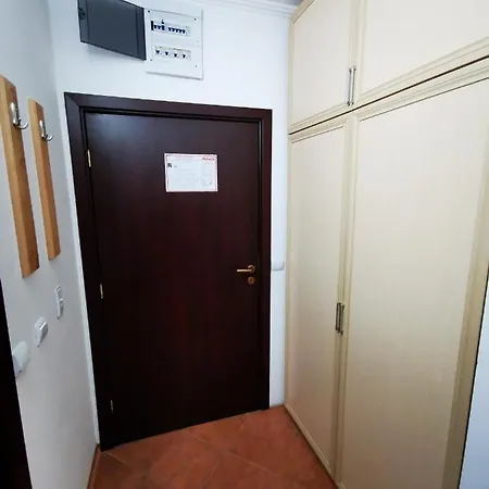 Viva 6 In Stenata